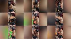 Goddess Femina - Indian Femdom Queen - Foot Freak Chronicles Part 2 [FullHD 1920P]  