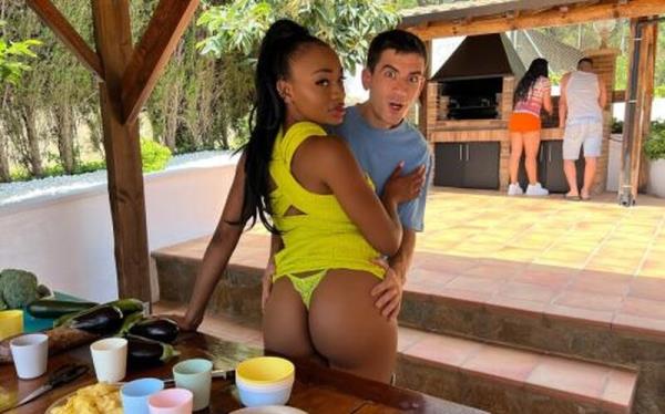 Malia Lenoir - Sneaky Sex At Backyard BBQ [FullHD 1080P]  - RkPrime
