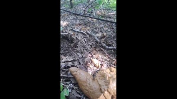 poogirla � poop in the park [HD 1280P]