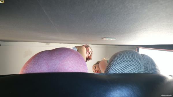 Wildcats - Have You Ever Been Humiliated Like This Worm [4K 2160P]