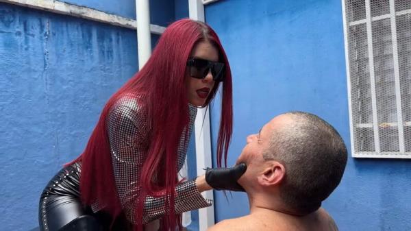 Latin Beauties In High Heels: Bq Ultra Sexy Face Slapping And Whipping By The Bootsqueen [FullHD 1080P]  