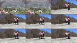 YvetteXtreme - Pissen - In Spanien [HD 720P]  - MyDirtyHobby