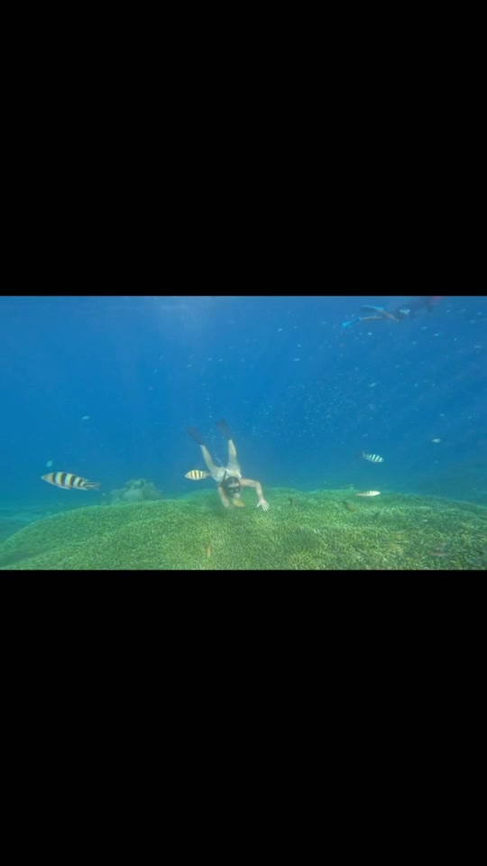 Chloe Chevalier - XXX Vlog Bali [SD 540P]  