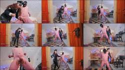 Mistress Lady Renee: The Ball Torture Room [FullHD 1080P]  