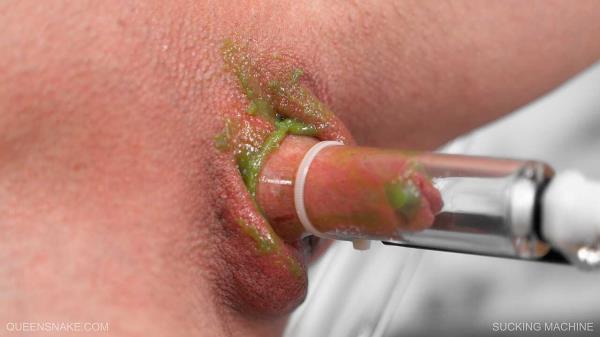 SUCKING MACHINE - 2025 December 13 [FullHD 1920P]  - Queensnake