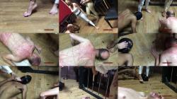 Sadistic Queens - Squishysax - Miss Suzanna Maxwell and Mistress Mera - Slaves Must Eat From Our Feet [FullHD 1080P]  