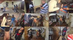 Mistress Lunatika - Hidden Torment Farm Part 1 [HD 720P]  