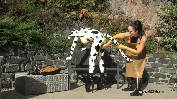 Queens of Kink - Fetish Liza and Natalie Goth TV - Latex cow inspected and fucked stage 1 [FullHD 1080P]  