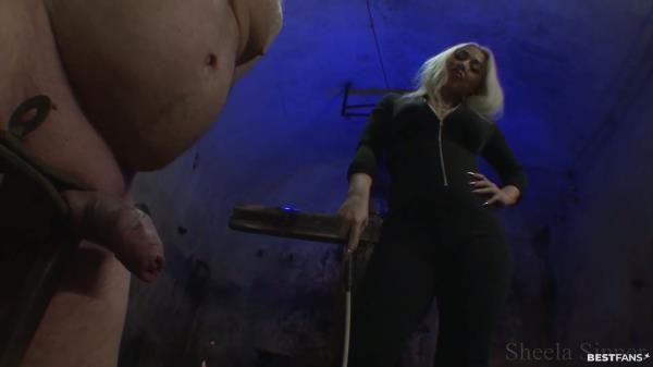 Sheela Sinner - Cbt Training Is So Much Fun When My Victims Scream [FullHD 1080P]  