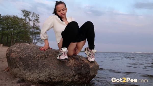 Into The Sea [FullHD 1920P]  