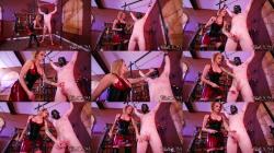 Clubdom - Goddess Joslyn - Balls Belong to Joslyn [FullHD 1080P]  