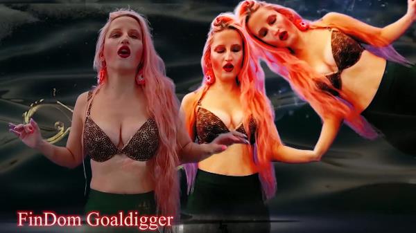 FinDom Goaldigger - Your arousal enlarging [FullHD 1080P]  