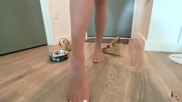 Femdom Puppy Play - Lil Mizz Unique's Allergy Free Boyfriend Part 2 [FullHD 1080P]  