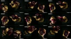 Kell Fire - First Gloryhole POV [FullHD 1080P]  - GloryholeSecrets