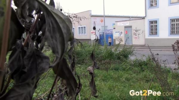 Public Streams [FullHD 1080P]  