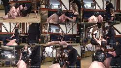 Evil Bitch Princess Brook and Master Bex - Cock training for our pigs [FullHD 1080P]  