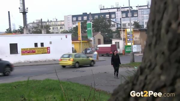 Heavy Traffic [FullHD 1080P]  