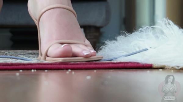 SashaCurves - Just A Little Party [FullHD 1080P]  