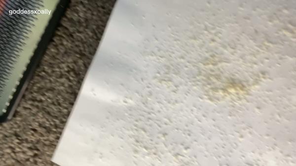 Goddess Ally Etana - Collect My Foot Dust In Your Mouth [FullHD 1080P]  
