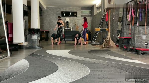 La Regina Dittatrice and Mistress Gaia - Turning My Slaves Into Horses [FullHD 1080P]  