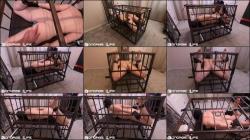Bondage Life - Hogtied in Small Cage - Rachel Greyhound [HD 720P]  