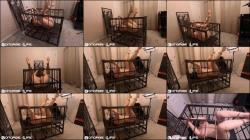 Bondage Life - Feet up in Half Cage - Rachel Greyhound [HD 720P]  