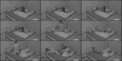 Reallifecam - Nancy And Sasha Have Hot Blowjob Pussy Eat And Orgasm 09.06.2026 [SD 472P]  