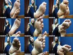 Ceara Lynch - Humiliated Foot Licker [FullHD 1080P]  