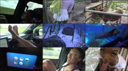 Lana Gee - Sarasota P6 [FullHD 1080P]  - ATKGirlfriends