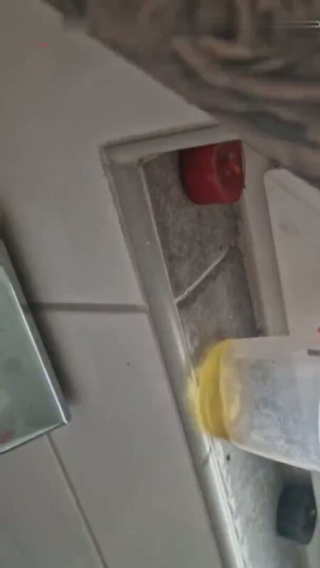 Hotpeachygirl1 - OMG, BIN ICH SCHWANGER [SD 608P]  - MyDirtyHobby