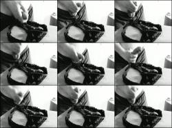 ConnyCouple - In ihren String gespritzt [HD 720P]  - MyDirtyHobby