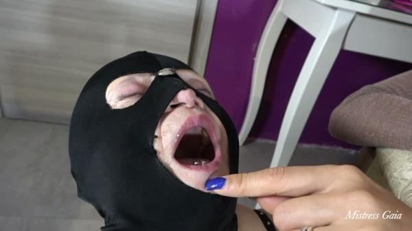MISTRESS GAIA - MY HUMAN SPITTOON [FullHD 1080P]  