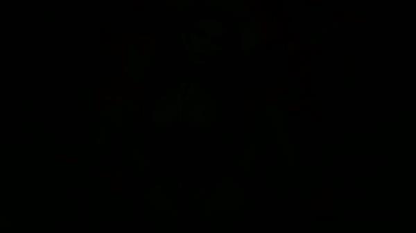 Mistress Misha Goldy - Cum For No Loser [FullHD 1080P]  