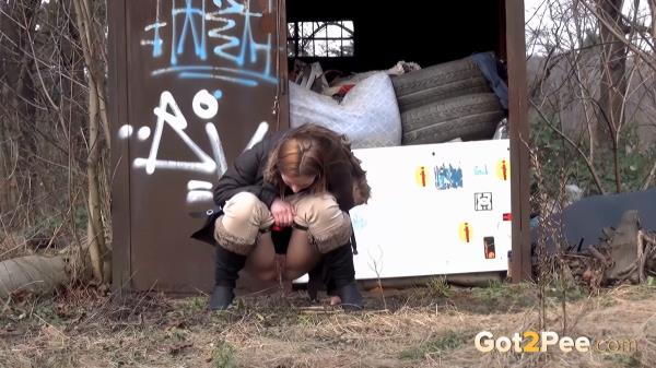 Train Line [FullHD 1920P]  