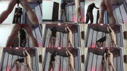 Cruel Amazons - Mistress Sophie - Ballkicks and Screaming [HD 720P]  