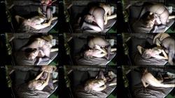 BimanHH - Ich spritz auf ihre geile Nylon Strumpfhose [FullHD 1080P]  - MyDirtyHobby