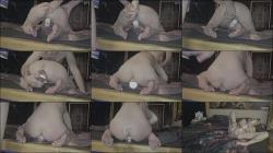 Kinkypaar6 - Benutz meinen Arsch [FullHD 1080P]  - MyDirtyHobby