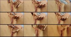 mylittleporny - Meine nasse Muschi reiben und einen tollen Orgasmus haben [HD 720P]  - MyDirtyHobby