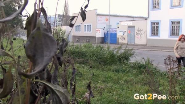 Public Streams [FullHD 1920P]  