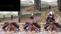 Soggy Leaves [FullHD 1080P]  