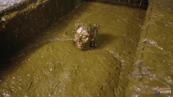 Aliens In Cow Shit [HD 720P]  