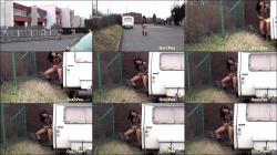 Tiger Print Pee [FullHD 1080P]  