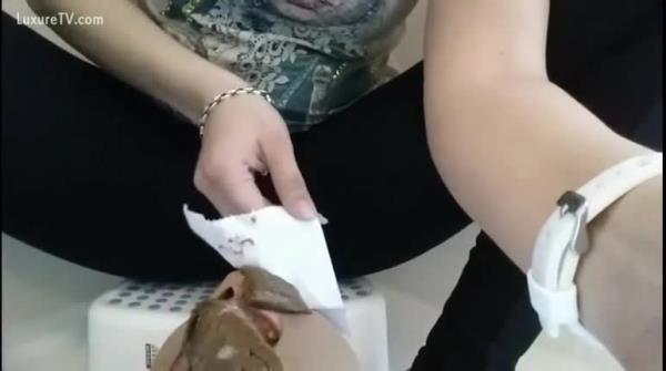 Scat Mistress Shit To Slave Face And Mouth [SD 432P]  